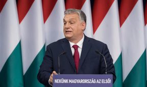 Hungary trồng 10 cây xanh mỗi khi có em bé chào đời