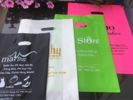 Phân Loại Và Ứng Dụng Của Túi PE Trong Đời Sống, Sản Xuất