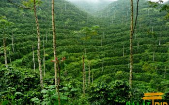 TOUR NGOẠI THÀNH ĐÀ LẠT TRONG NGÀY