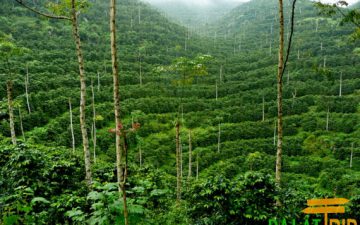 TOUR NGOẠI THÀNH ĐÀ LẠT TRONG NGÀY