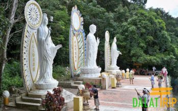 Tour Đà Lạt – Phan Thiết – Mũi Né – Đà Lạt