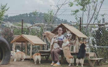 Những nông trại cúng cưng phục vụ du lịch tại Đà Lạt
