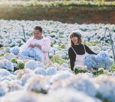 TOUR THẮNG CẢNH THIÊN NHIÊN ĐÀ LẠT