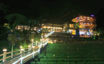 Trải nghiệm tuyệt vời ở tour du lịch vườn chè Long Ðỉnh