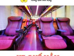Những loại xe Thành Bưởi