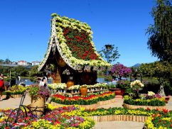 Vườn hoa thành phố Đà Lạt