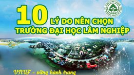 Đào tạo Tiến sĩ tại Trường Đại học Lâm nghiệp