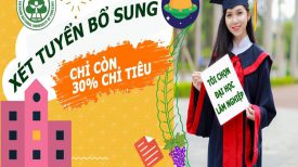 Các chuyên ngành đào tạo của Trường Đại học Lâm nghiệp