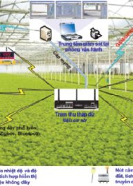 Nông nghiệp ứng dụng công nghệ cao những năm gần đây