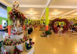 Rừng Hoa Đà Lạt-Showroom hoa khô