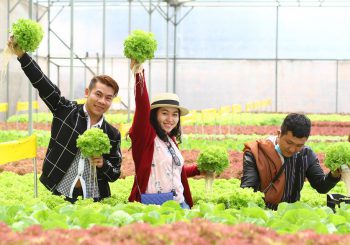 10 điều nên làm ở Đà Lạt trước khi bỏ lỡ thanh xuân