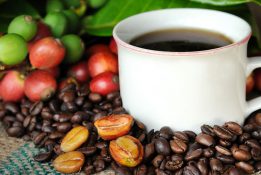 Những loại cafe ngon nhất thế giới