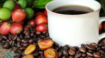 Những loại cafe ngon nhất thế giới