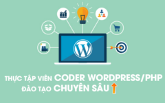 Tuyển thực tập lập trình PHP/WordPress