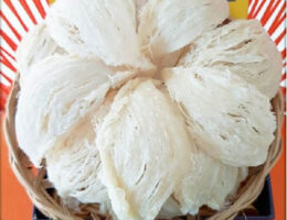 Tổ yến sào rút lông khô