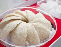Yến sào rút lông nguyên tổ