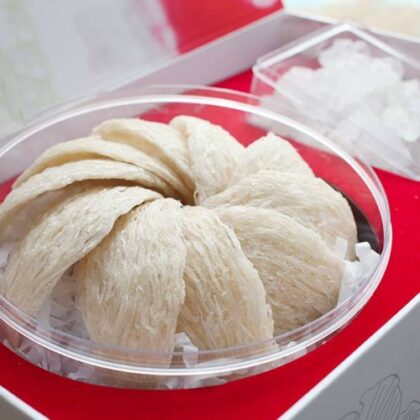 Yến sào rút lông nguyên tổ