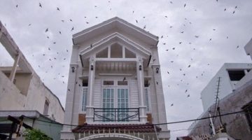 Thương hiệu tổ yến sào uy tín