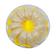 Yến Sào Cao Cấp – Song Ân Yến (Silver)
