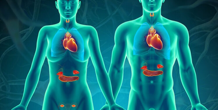 Bệnh nội tiết – những điều cần biết