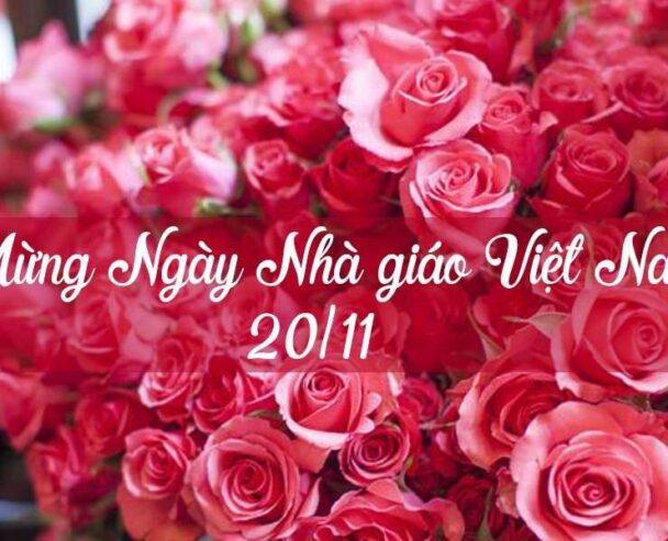 Hàng trăm mẫu hoa chúc mừng ngày 20 tháng 11 đẹp và ý nghĩa