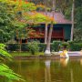 Những món ăn đặc sản Trà Vinh du khách nhất định phải thử