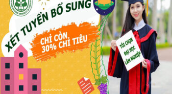 Các chuyên ngành đào tạo của Trường Đại học Lâm nghiệp