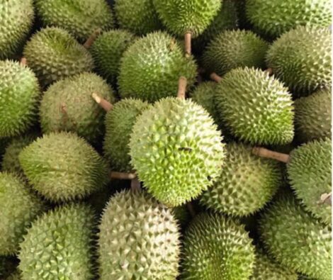 SẦU RIÊNG CHÍN VƯỜN SIÊU NGON 