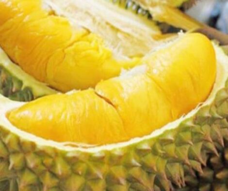 SẦU RIÊNG CHÍN VƯỜN SIÊU NGON 