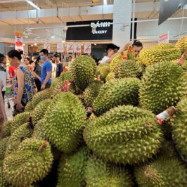 Sầu riêng giá rẻ chưa từng có