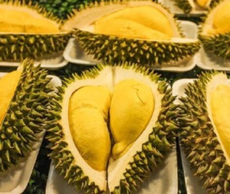 SẦU RIÊNG CHÍN VƯỜN SIÊU NGON 