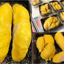 Loại sầu riêng giá 1,6 triệu đồng/kg đang “hút khách” rần rần là loại sầu riêng gì?