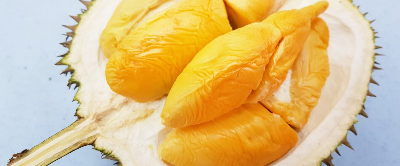 Sầu riêng Đạ Huoai