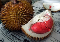 Bất ngờ khi sầu riêng còn có ruột màu này ngoài màu vàng truyền thống